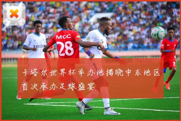 卡塔尔世界杯举办地揭晓中东地区首次承办足球盛宴