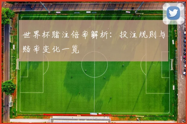 世界杯赌注倍率解析:投注规则与赔率变化一览