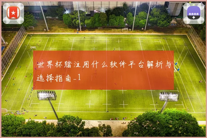 世界杯赌注用什么软件平台解析与选择指南_1