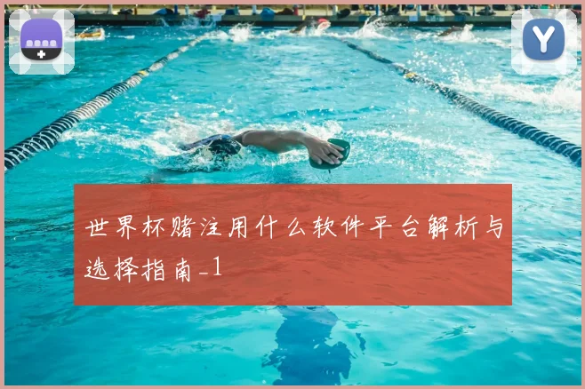 世界杯赌注用什么软件平台解析与选择指南_1
