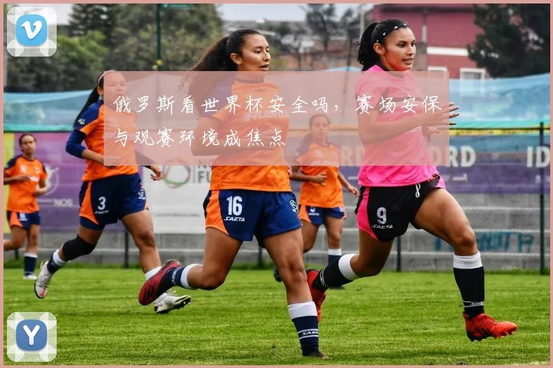 俄罗斯看世界杯安全吗,赛场安保与观赛环境成焦点